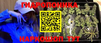 стафф Кунгур